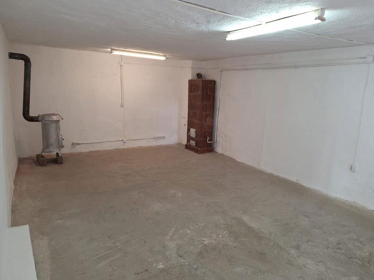 Inchiriez spatiu in Turnisor - 5