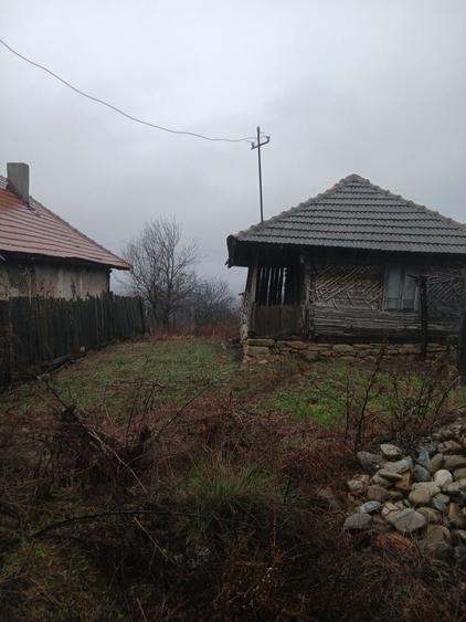 Casă cu 2 camere în Central