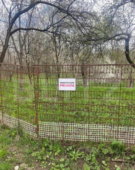 Teren 784 mp, Nistoresti, jud Prahova - 4