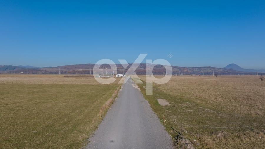 Teren 11.600 mp – Rasnov, zona Tabara, 230 m de DN 73 - 4