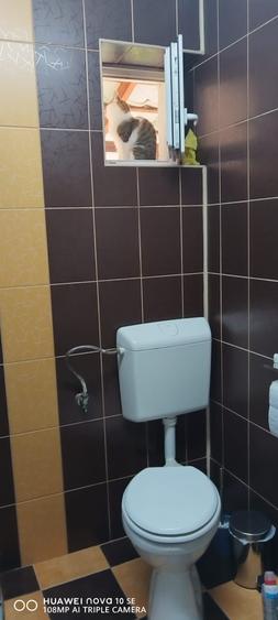 Garsoniera de vacanta situata in Busteni - 2