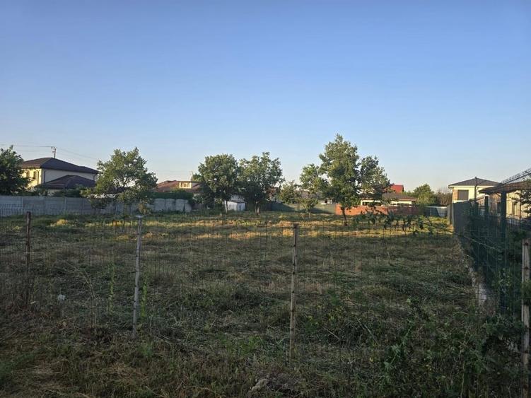 2 terenuri de 1250 mp fiecare - 5