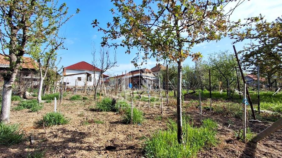 Casa de vanzare in Ineu formata din 2 cladiri - 41