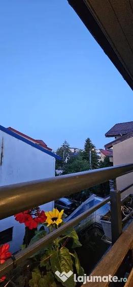 Apartament modern 2 camere, complet echipat, Damaroaia - 3