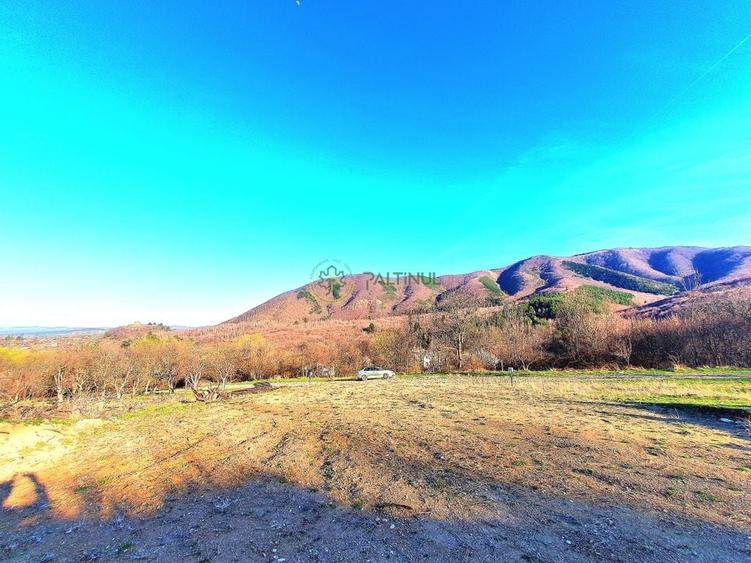 Teren 1.648 mp de v&acirc;nzare - Cisnădioara, Sibiu - 4