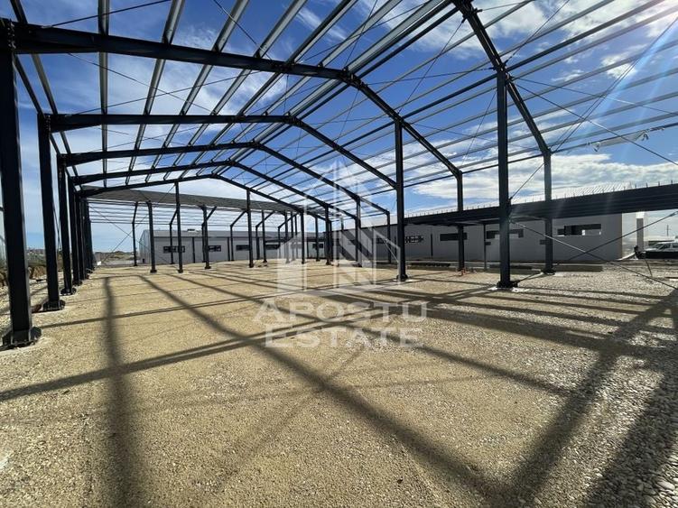 Hala noua cu rampa tir, 540 mpu, Giarmata - 6