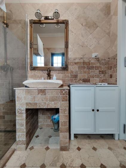 CASA  DEOSEBITA LA  SACALAZ IN SUPRAFATA DE 153 MP - 14