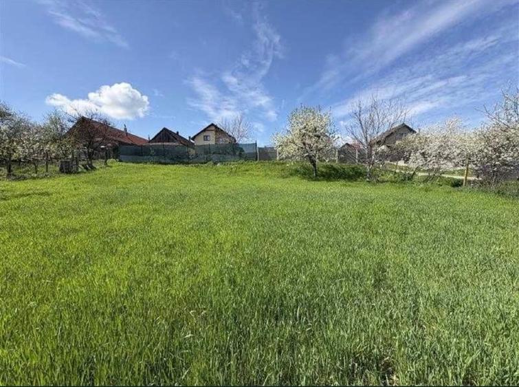 2 fronturi stradale, 632 m2, Giarmata - 1