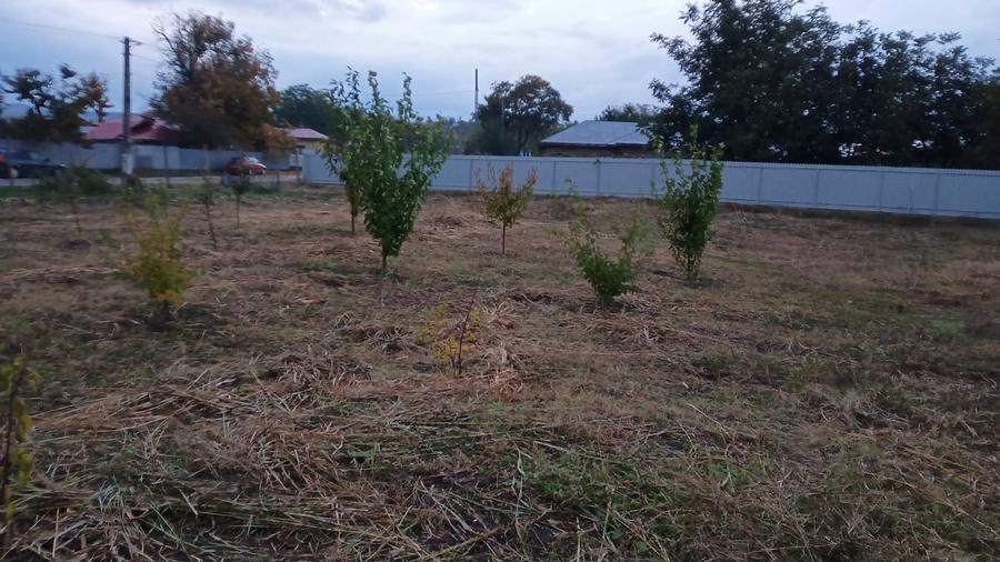 Carligele, jud. Vrancea - 1