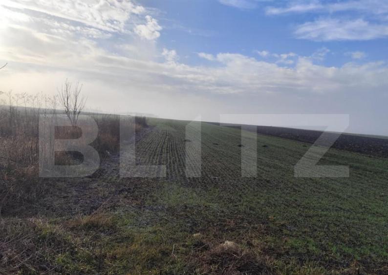 Teren 15000 mp extravilan, Miroslava-Vorovesti, langa zona d - 3