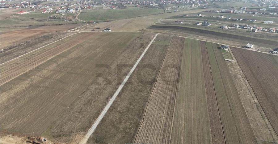 RECO Teren intravilan Cihei Sanmartin - 3