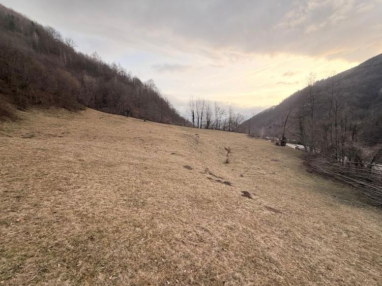 Vand Teren Valea Streiului ! - 7