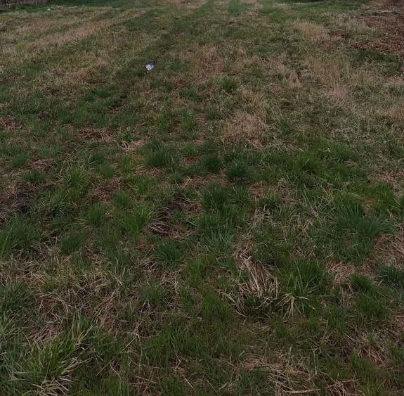 Teren intravilan Alparea - 1