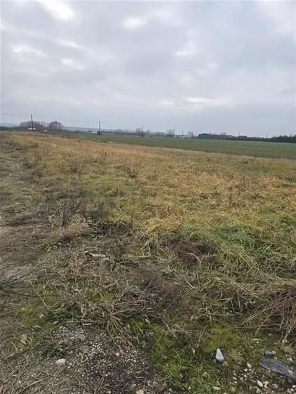 RECO Teren pentru loc de casa cu PUZ Osorhei-Fughiu - 2