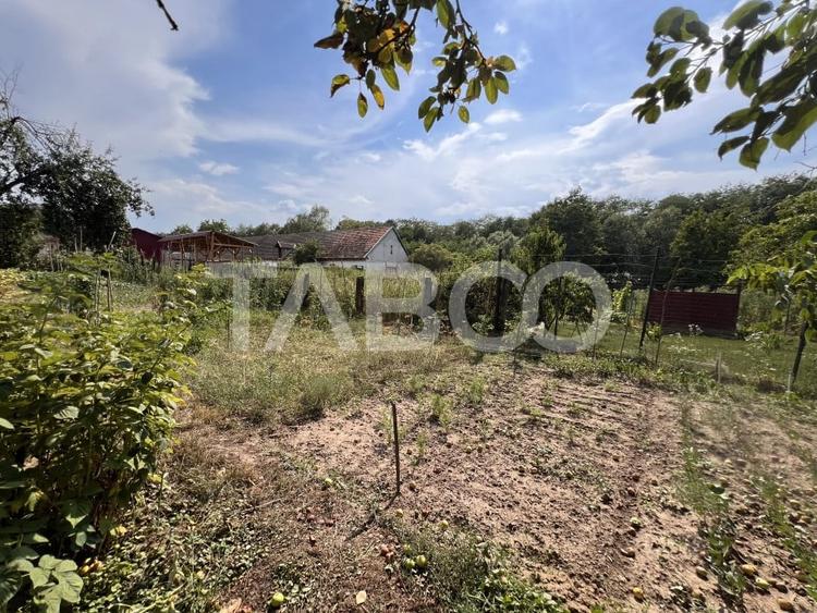 Casa de vanzare 4 camere 2 bai 1162 mp de curte si gradina in Toderita - 17