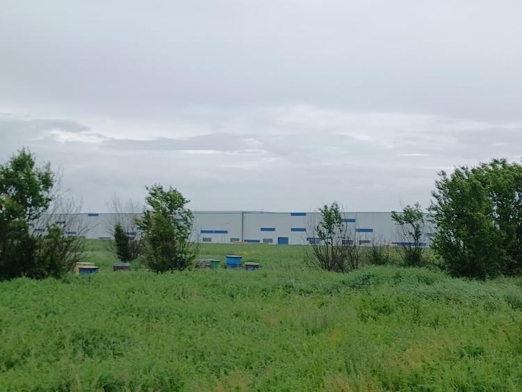 Teren de vanzare - 45.000 mp - Popesti-Leordeni, DN4 - 1