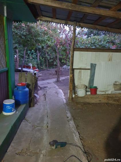 Casa Ireasca/ Gohor - 6