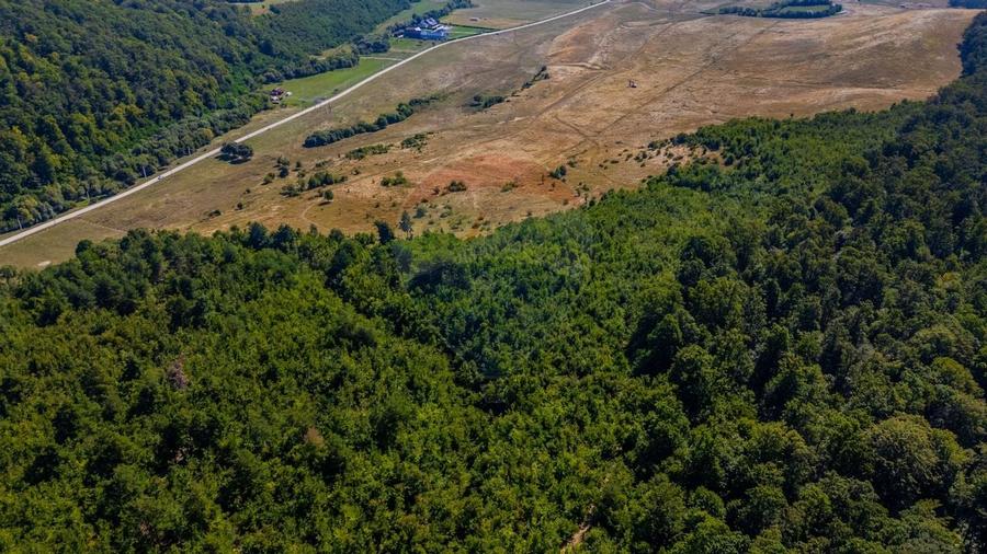 Teren 6,000mp Crizbav / Strada principala - 9