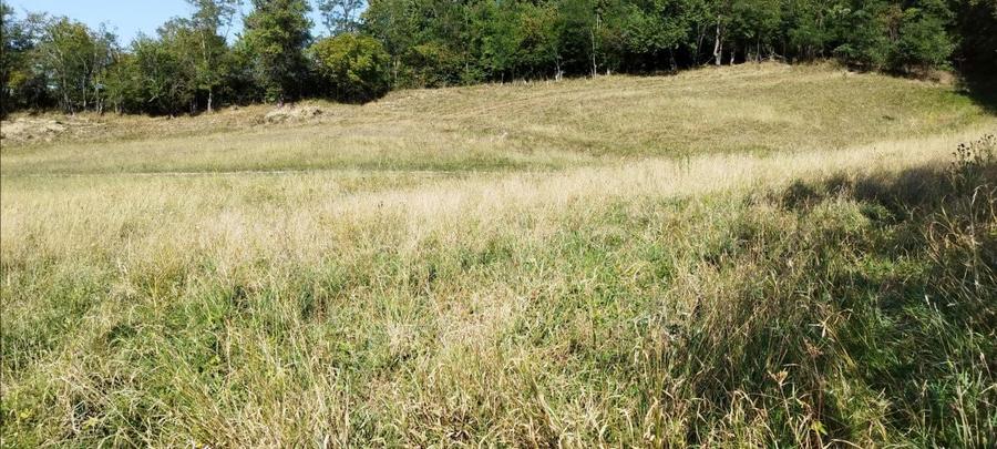 18000 mp teren extravilan in judetul Sibiu 4 euro mp - 1