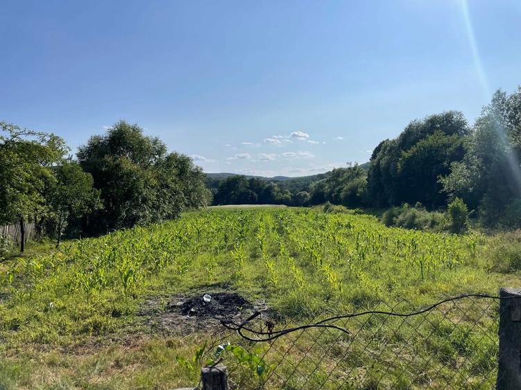 Vand Casa + teren 12.000 mp in Cernisoara, sat Modoia, Valcea - 3