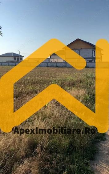 Teren Intravilan | Cernica-Sat Posta | 1588mp | UTR L1 - 2