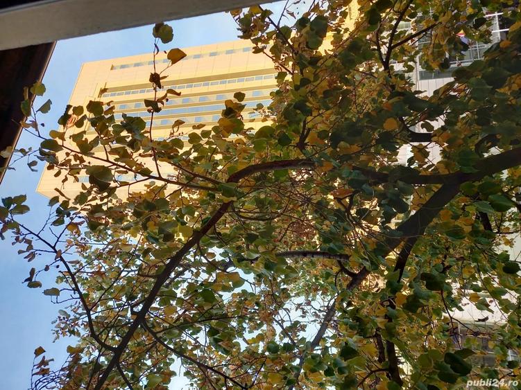 apt 3 4 ultracentral sector 1 Sheraton ASE - 4