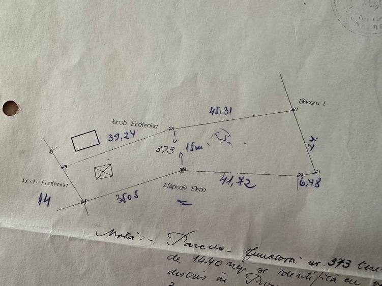 Casa batrineasca cu approx 2800 mp teren, vie, pomi fructiferi, zmeura, coacăze - 16