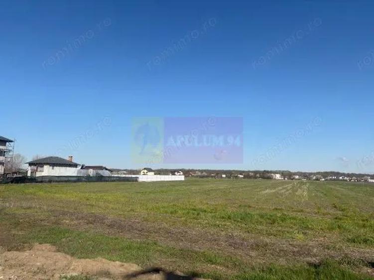 Teren Soseaua Clinceni- Ordoreanu stradal. - 1