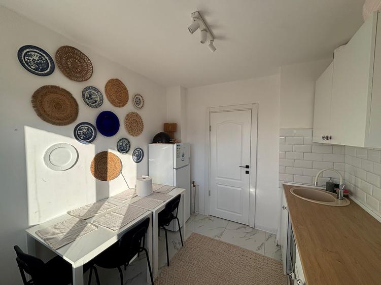 Apartament 2 camere, Teiul Dosmnei - 10