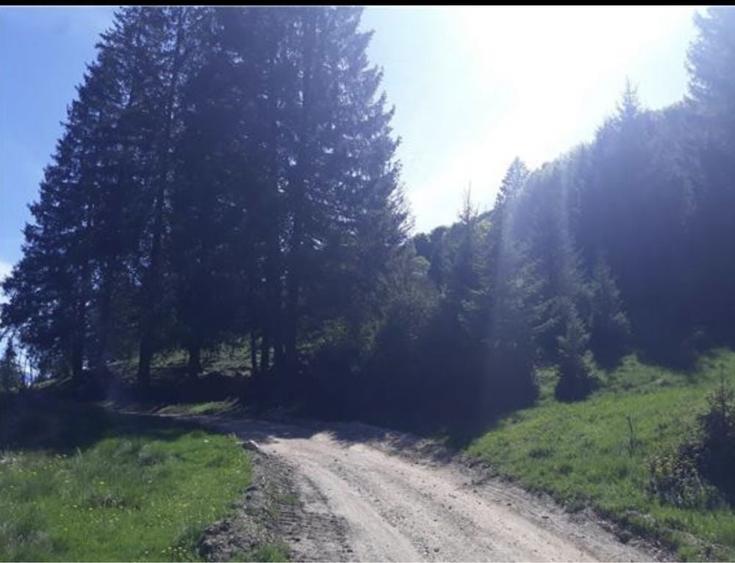 Teren intravilan Poiana Brasov - 7