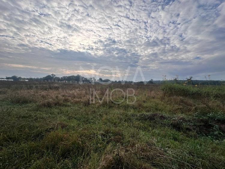 Teren extravilan - 7575 Selimbar - 2