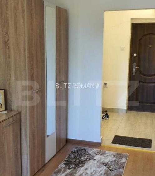 Garsoniera de vanzare, 20 mp, zona Triaj