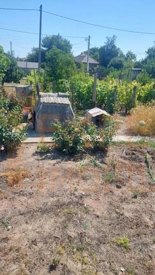 Casa situata in zona Cobadin, COMISION 0% - 12