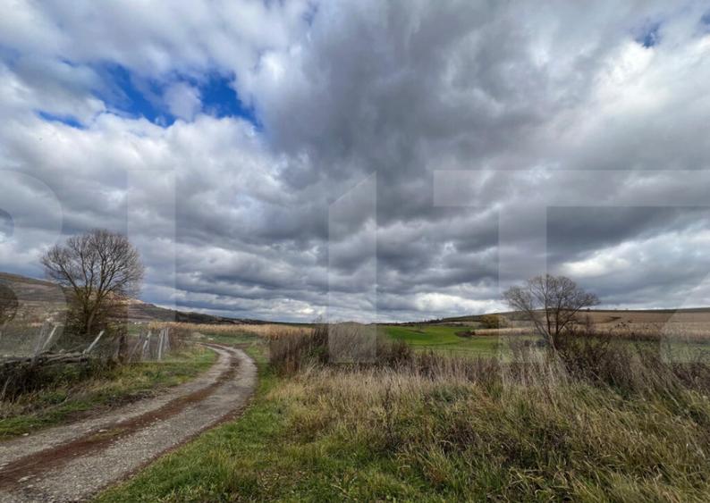 Teren de vanzare perfect pentru investitie in Babutiu - 1