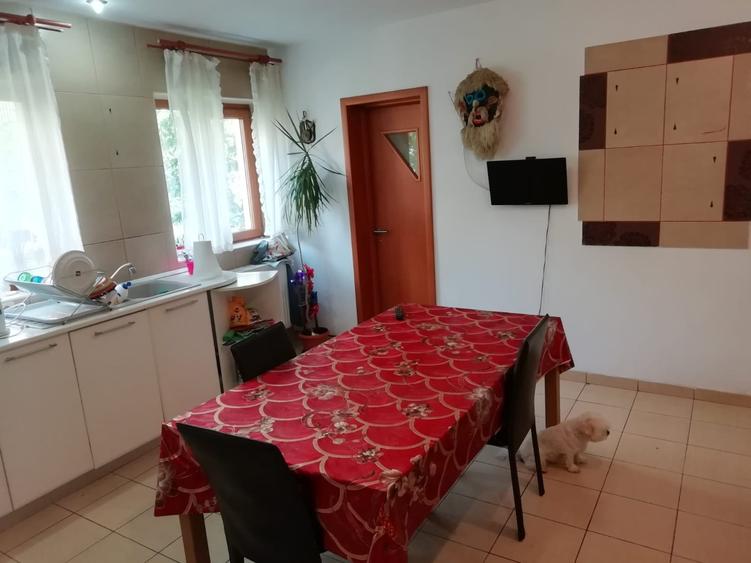 Casa individuala | Curte 700 mp | Garaj, terase, Centrala termica, acte la zi - 9