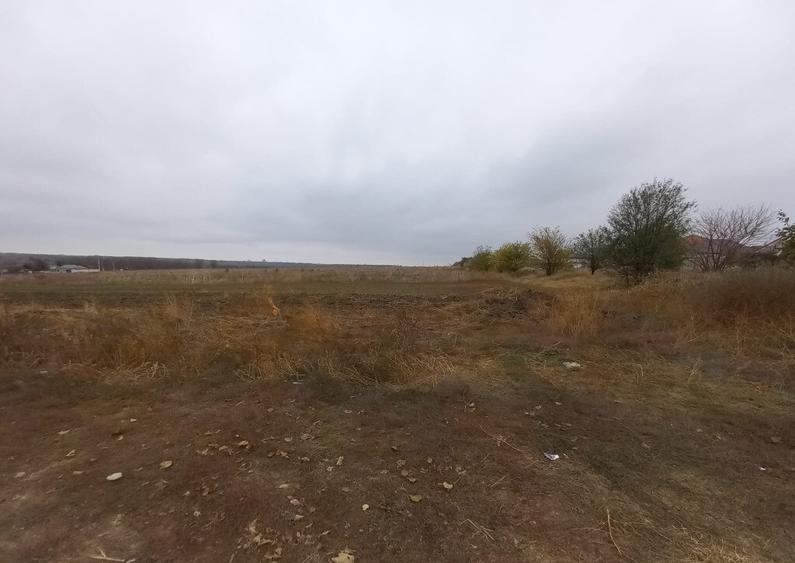 Teren de vanzare in Valu Lui Traian, Cartierul Nou - 403 mp - 1