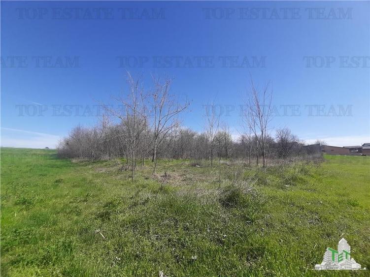 Teren Construcții intravilan de 4000 mp, în Vârteju