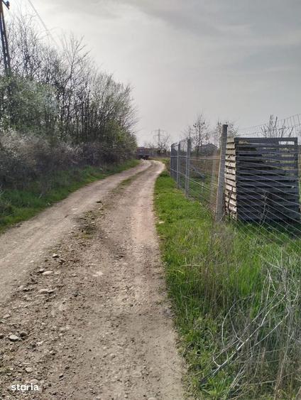 Vanzare teren 4000 mp Ulmi- Dambovita - 6