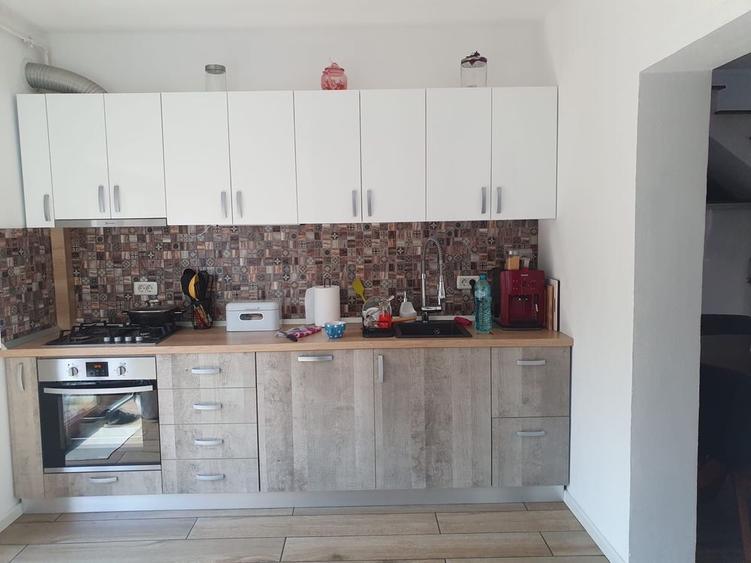 Casa insiruita de inchiriat Aradul Nou - 3