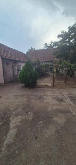 Vand casa in Sculia,Ora?ul Gataia,Jud Timi? (2158mp) - 3