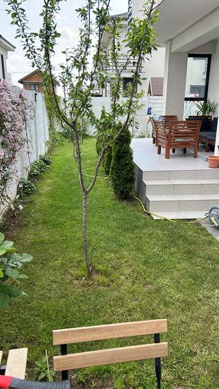 vand casa mobilata si utilata - 4