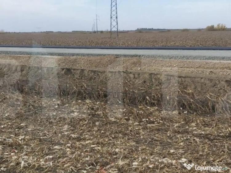 Teren extravilan de 8 ha in C. ?agului la viitoarea centur - 1