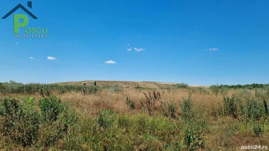 Teren Drum la Chiajna, sector 6, 11.350 mp, D 33 ml - 4