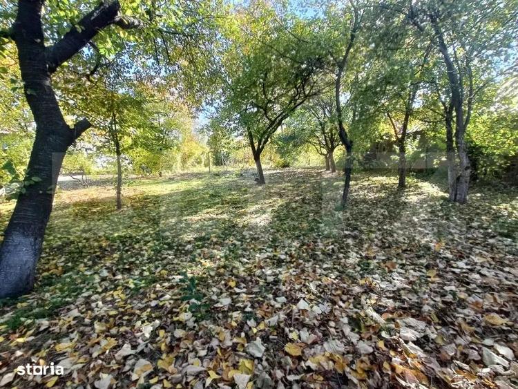 OPORTUNITATE TEREN 0,9 Ha intravilan constructii+extravilan - 8