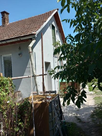 Vand casa dominanta - 9