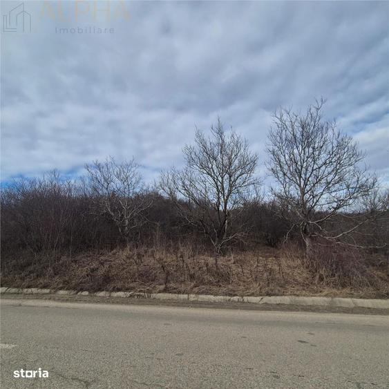 Teren intravilan de vanzare Sigmir, Str. Soarelui - 7