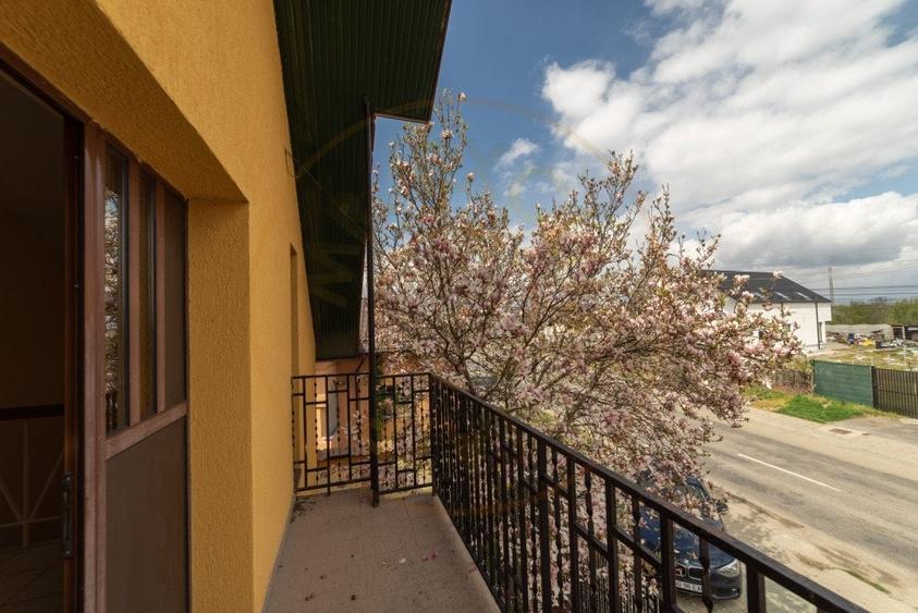 Vila - Piscina - Bradu! - 18