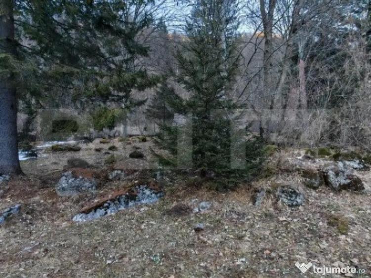 Casa de vacanta de vanzare in Rasnov - Brasov - 8