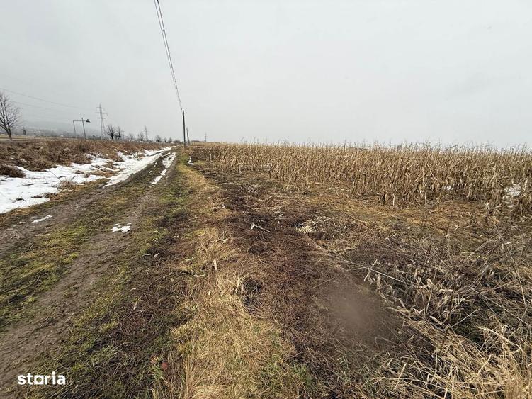 Teren extravilan | Galane?ti | 7.276 mp | Front 29 m - 4