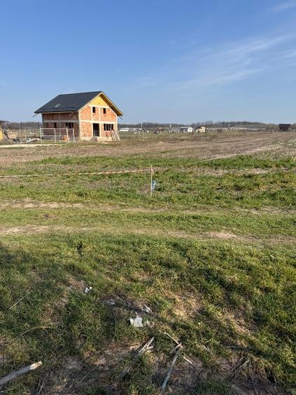 Loturi 400 mp Darza- Buftea - 1